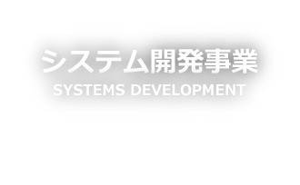 システム開発事業